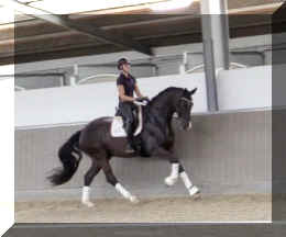 EscaVino HW canter2.jpeg (181616 bytes)