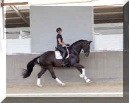 EscaVino HW canter3.jpeg (224566 bytes)