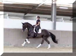 EscaVino HW canter6.jpeg (218431 bytes)