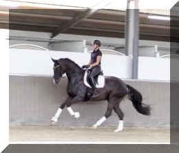 EscaVino HW canter8.jpeg (187565 bytes)