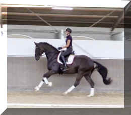 EscaVino HW canter9.jpeg (208854 bytes)