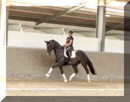 EscaVino HW trot10.jpeg (224187 bytes)