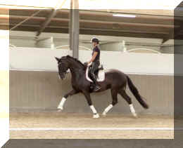 EscaVino HW trot11.jpeg (242188 bytes)