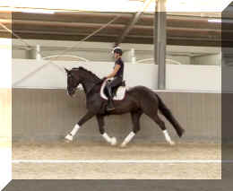 EscaVino HW trot12.jpeg (239946 bytes)
