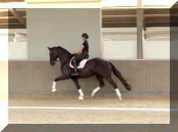 EscaVino HW trot14.jpeg (238264 bytes)