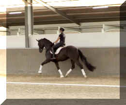 EscaVino HW trot15.jpeg (237375 bytes)