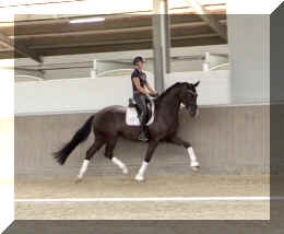 EscaVino HW trot2.jpeg (240584 bytes)