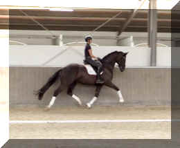 EscaVino HW trot3.jpeg (229432 bytes)