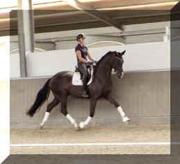EscaVino HW trot5.jpeg (188218 bytes)