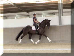 EscaVino HW trot6.jpeg (217014 bytes)