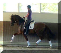 FavoritHWtrot15.jpg (129780 bytes)