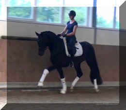 FirstChoice HW trot10.jpg (105139 bytes)