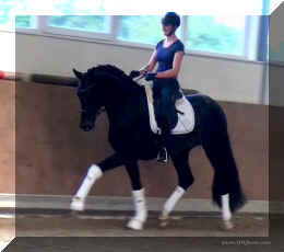 FirstChoice HW trot13.jpg (151308 bytes)