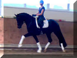 FirstChoice HW trot7.jpg (197185 bytes)