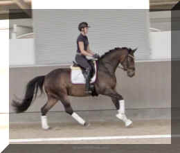 Follower HW canter2.jpeg (158314 bytes)