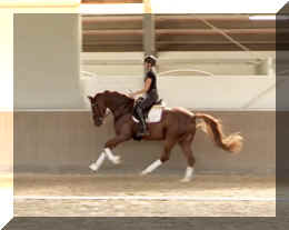 For Ever HW canter6.jpeg (234642 bytes)