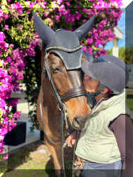 IMG_9361.jpeg (423151 bytes)