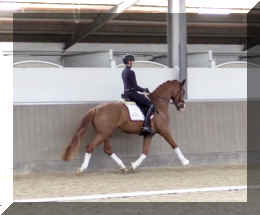 Fuerst Quotenkoenig HW trot3.jpeg (238085 bytes)
