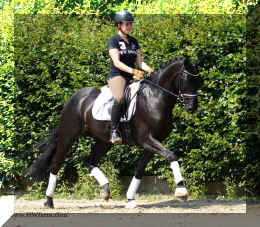 DSC02464Trot5.JPG (945386 bytes)
