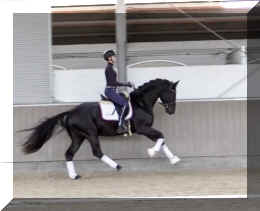 Secret Desire HW canter2.jpeg (208893 bytes)