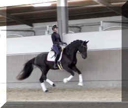 Secret Desire HW canter4.jpeg (188986 bytes)