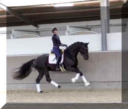 Secret Desire HW canter5.jpeg (206053 bytes)