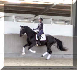 Secret Desire HW canter6.jpeg (212671 bytes)