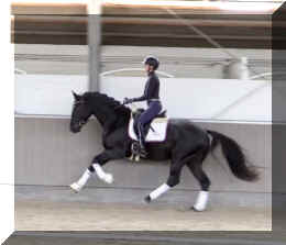 Secret Desire HW canter7.jpeg (208828 bytes)