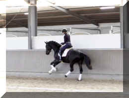 Secret Desire HW canter8.jpeg (216104 bytes)