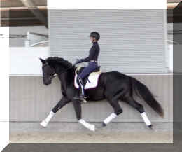Secret Desire HW trot10.jpeg (303577 bytes)