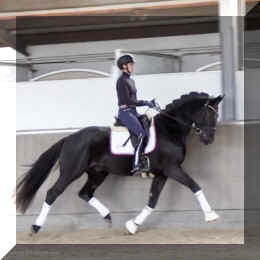 Secret Desire HW trot6.jpeg (204635 bytes)
