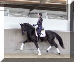 Secret Desire HW trot9.jpeg (250398 bytes)