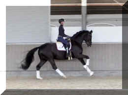 Secret Dream HW canter8.jpeg (242443 bytes)