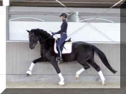 Secret Dream HW trot13.jpeg (250618 bytes)