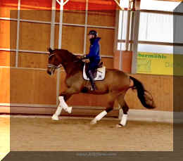 Secret Spice HW canter 2.jpeg (282657 bytes)