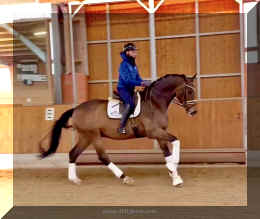 Secret Spice HW canter 5.jpeg (282702 bytes)