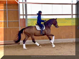 Secret Spice HW canter 6.jpeg (323578 bytes)