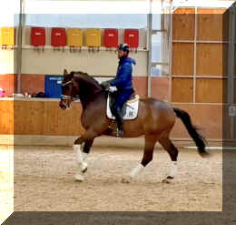 Secret Spice HW canter 9.jpeg (274489 bytes)