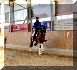 Secret Spice HW trot 15.jpeg (243373 bytes)