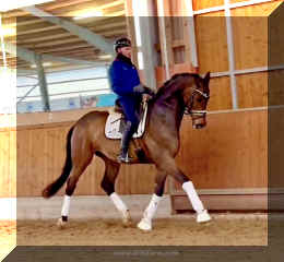 Secret Spice HW trot 16.jpeg (263845 bytes)