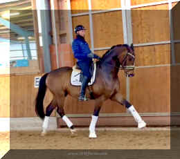 Secret Spice HW trot 17.jpeg (289872 bytes)