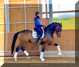 Secret Spice HW trot 18.jpeg (309247 bytes)