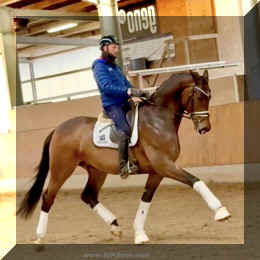 Secret Spice HW trot 1.jpeg (246077 bytes)