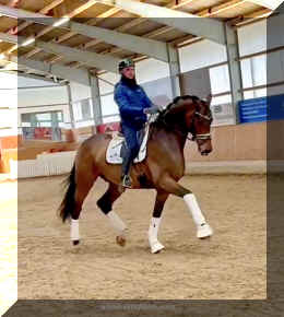 Secret Spice HW trot 2.jpeg (228914 bytes)