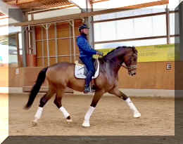 Secret Spice HW trot 3.jpeg (333386 bytes)