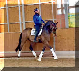 Secret Spice HW trot 4.jpeg (258210 bytes)