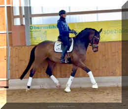 Secret Spice HW trot 6.jpeg (274301 bytes)