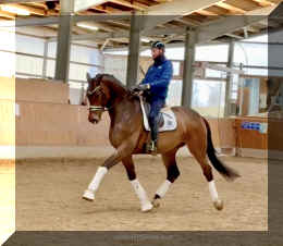 Secret Spice HW trot 9.jpeg (321253 bytes)