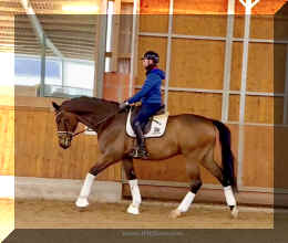 Secret Spice HW walk 1.jpeg (325283 bytes)