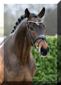 Secret Spice HW head.jpeg (2911682 bytes)